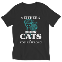 Either You Like Cats Or You're Wrong